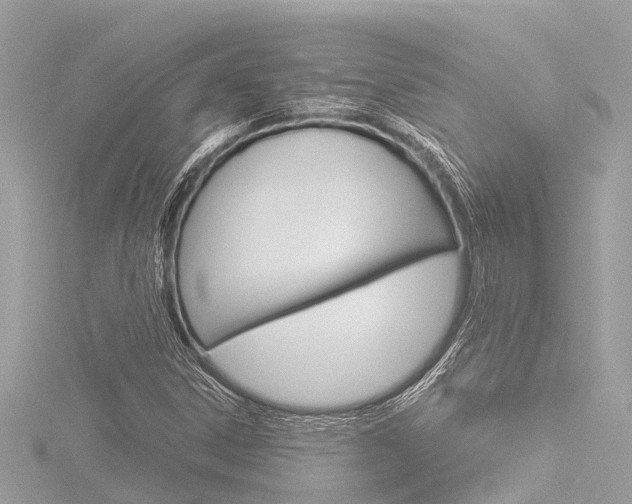 X0000116781306200912171302