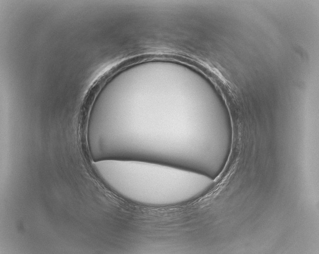 X0000116781311200912171302