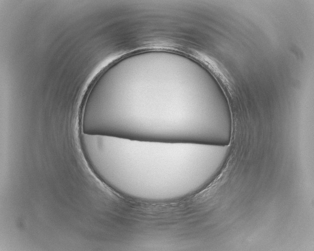X0000116781331200912171302
