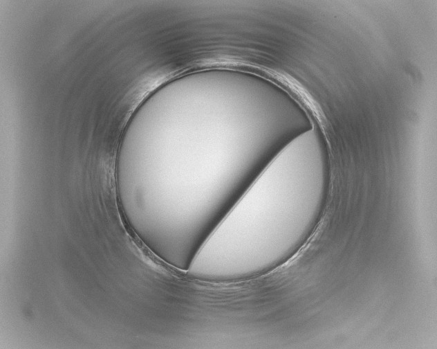 X0000116781337200912171302