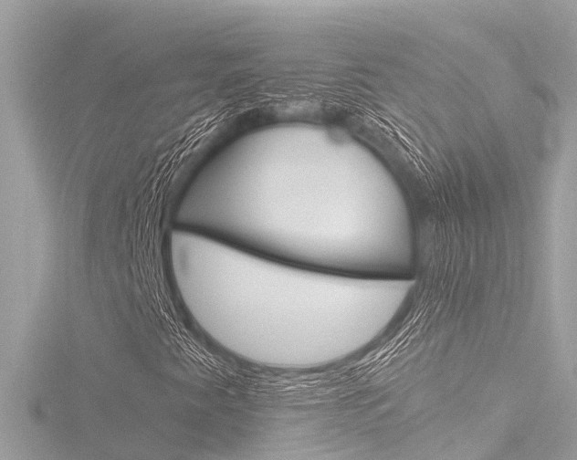 X0000116781345200912171302