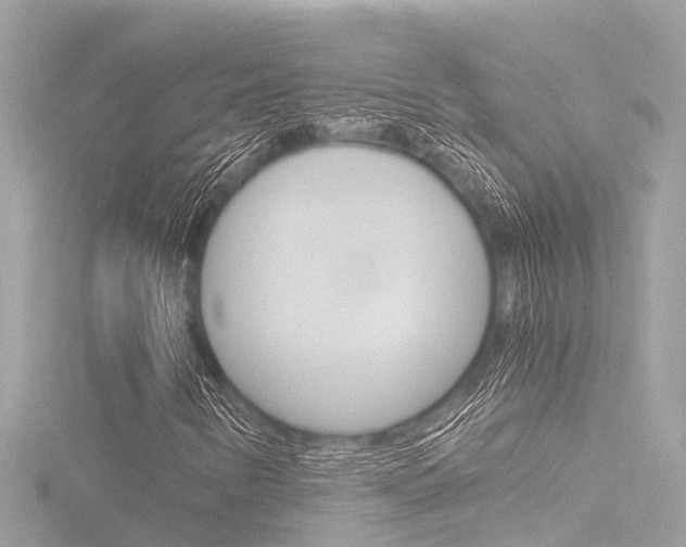 X0000116781346200912171302