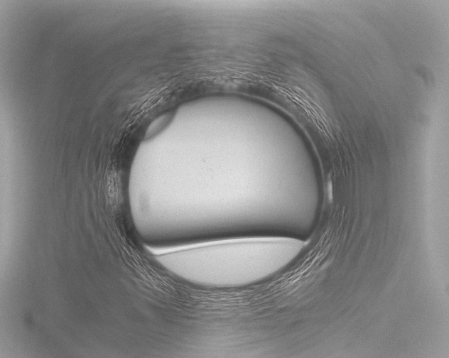 X0000116781347200912171302