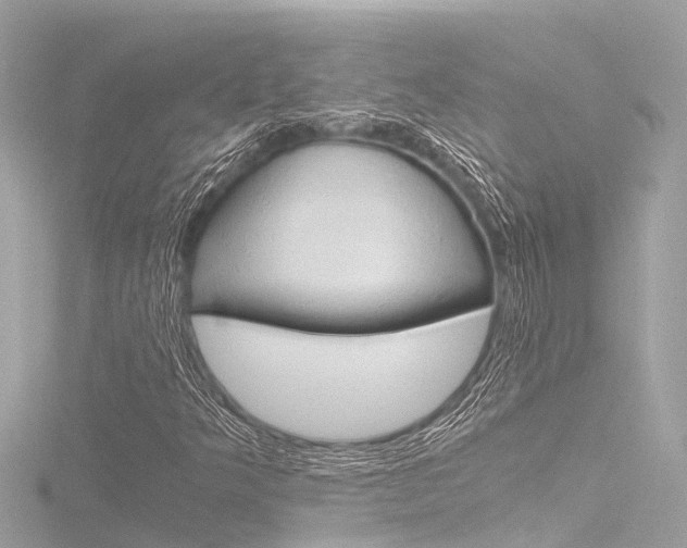 X0000116781349200912171302