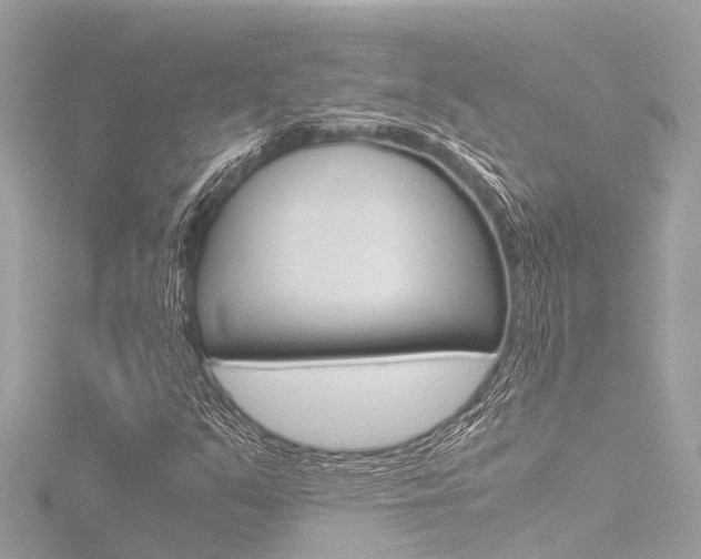X0000116781351200912171302