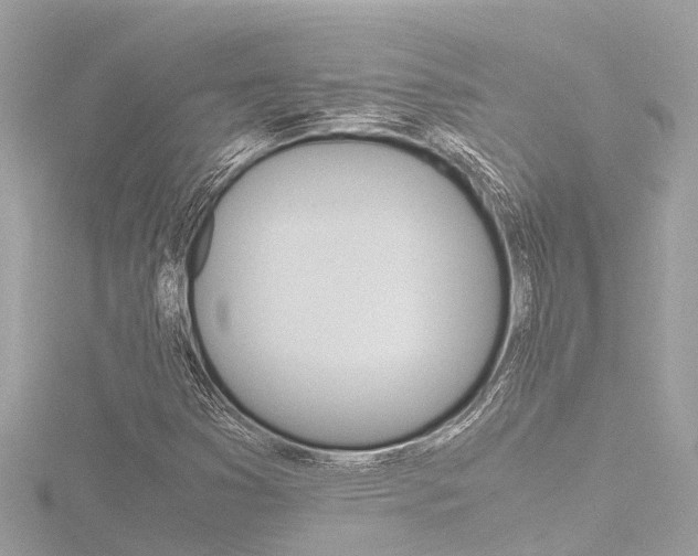X0000116781353200912171302