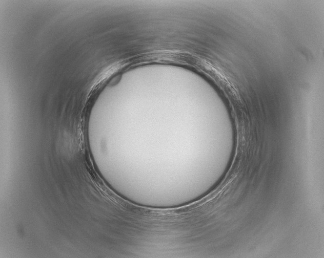X0000116781354200912171302