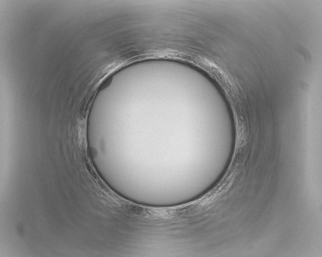 X0000116781361200912171302