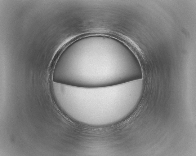 X0000116781364200912171302