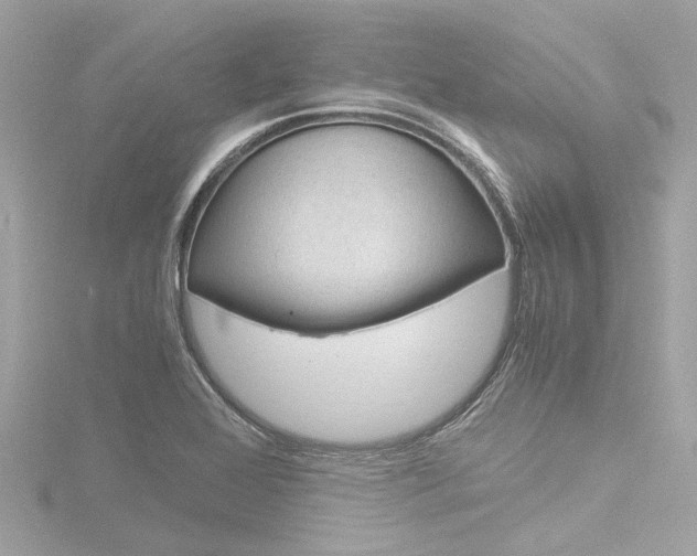 X0000116781368200912171301
