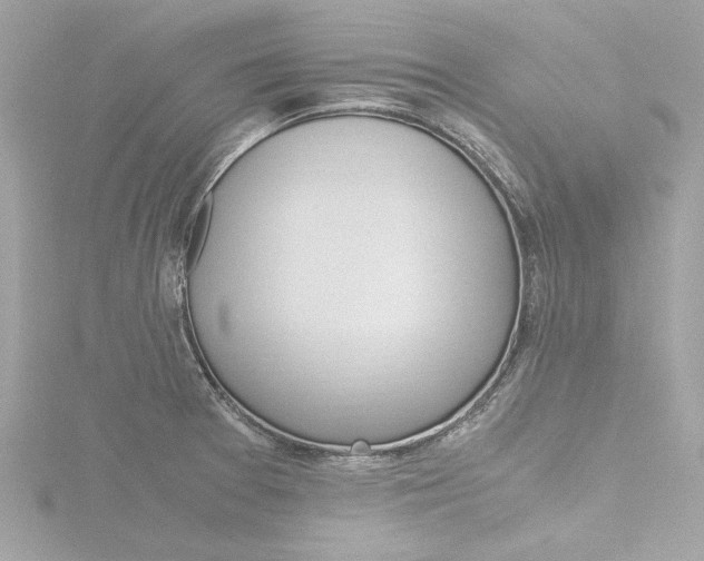 X0000116781377200912171301