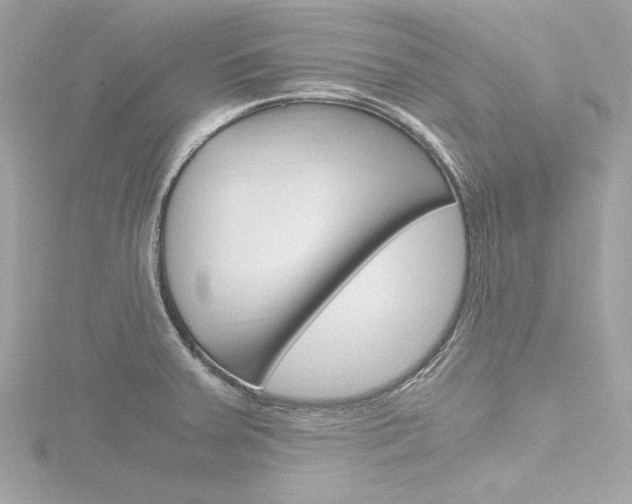 X0000116781379200912171301