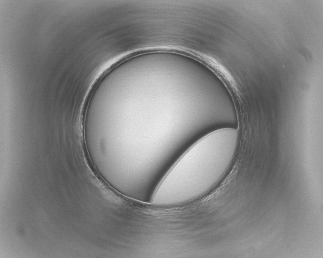 X0000116781380200912171301