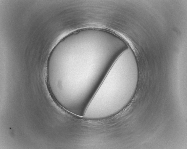 X0000116781383200912171301