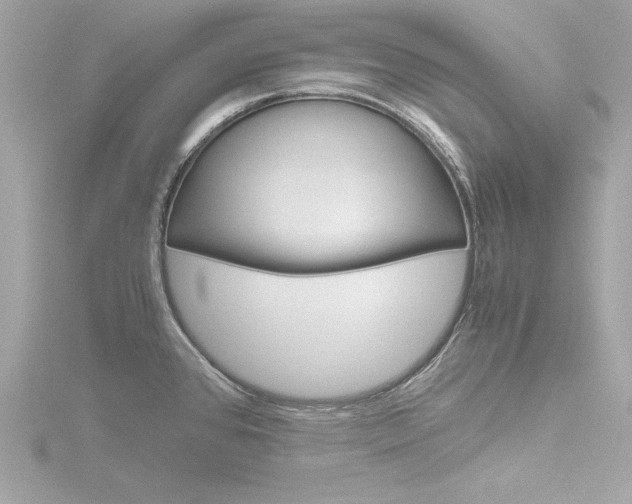 X0000116781384200912171301