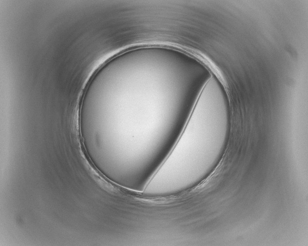X0000116781388200912171301