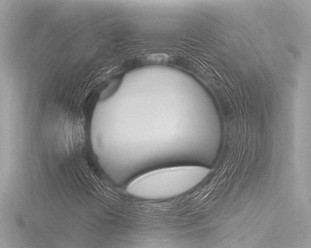 X0000116781394200912171301
