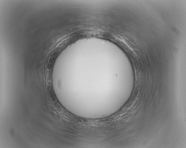 X0000116781399200912171301
