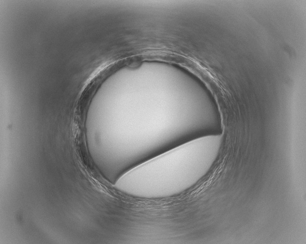 X0000116781400200912171301
