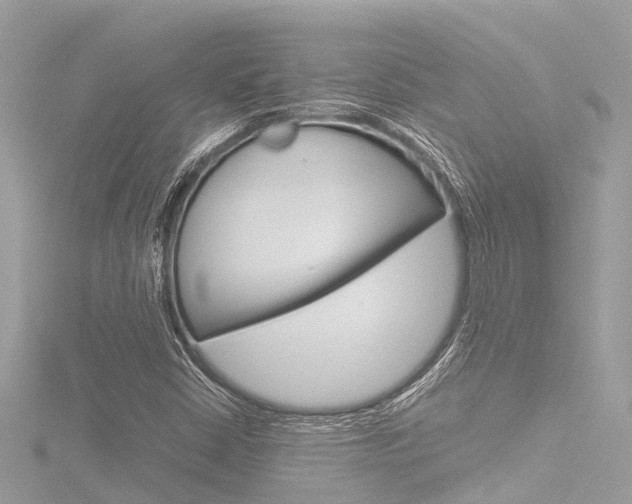 X0000116781402200912171301