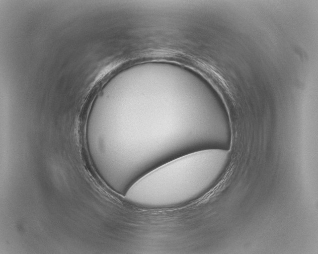 X0000116781404200912171301