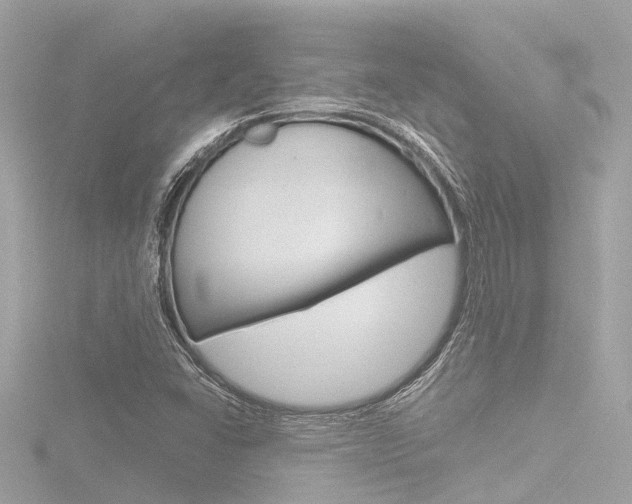 X0000116781406200912171301