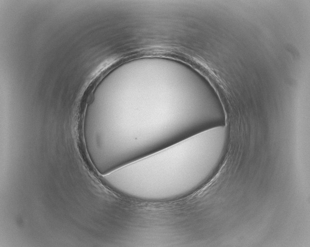 X0000116781410200912171301