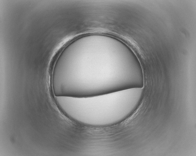 X0000116781414200912171301