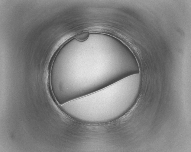 X0000116781418200912171301