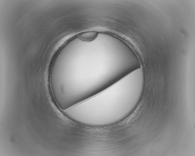 X0000116781422200912171301