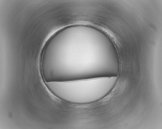 X0000116781430200912171301