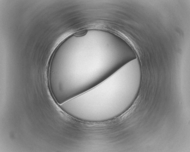 X0000116781434200912171301