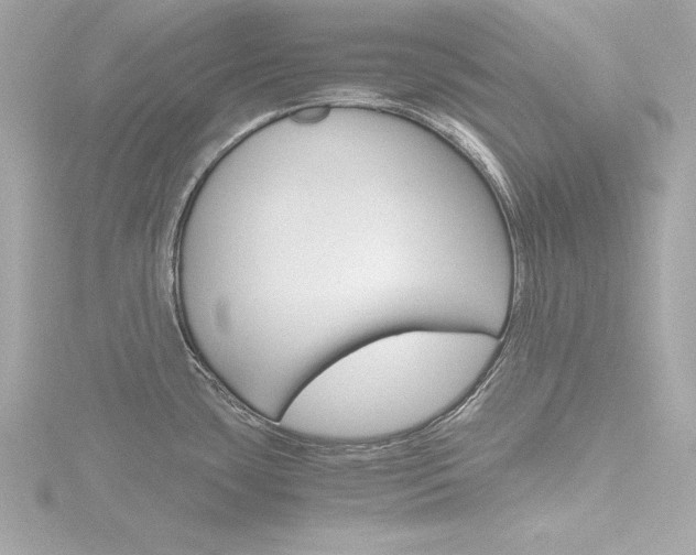 X0000116781435200912171301