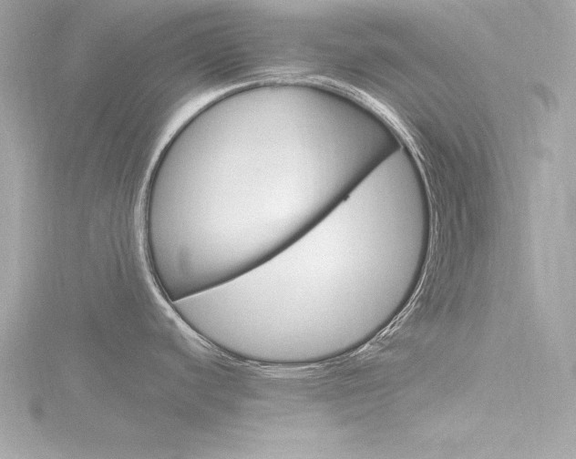 X0000116781440200912171301