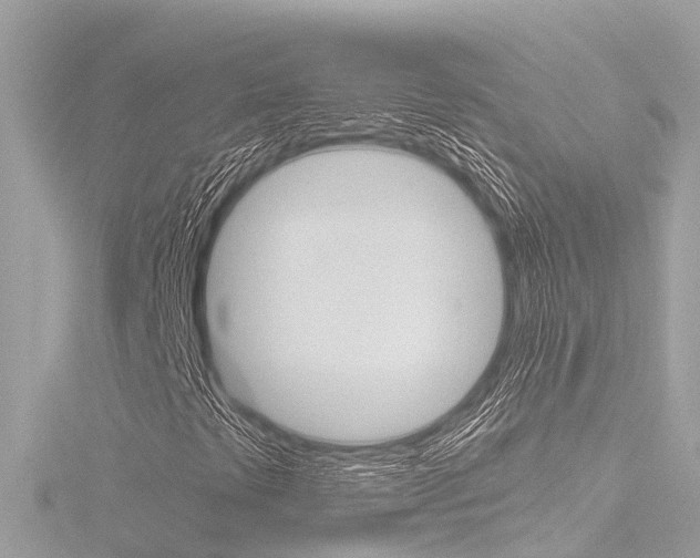 X0000116781441200912171301