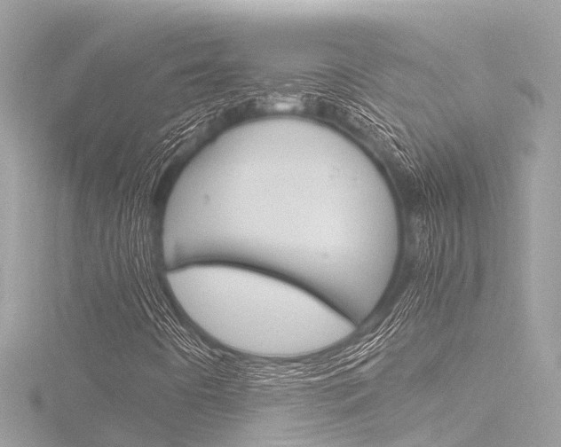 X0000116781442200912171301