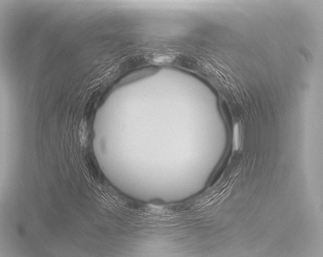 X0000116781443200912171301