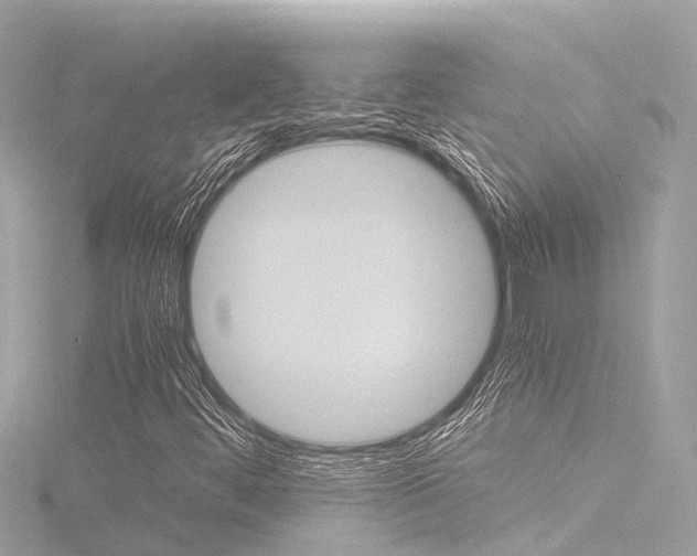 X0000116781444200912171300