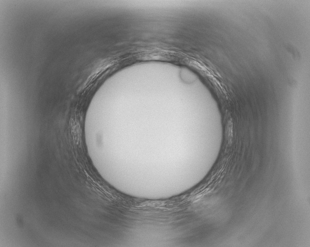 X0000116781446200912171300