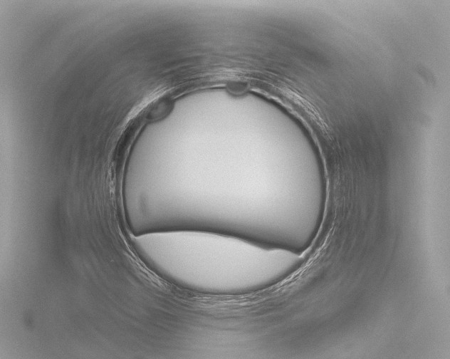 X0000116781450200912171300