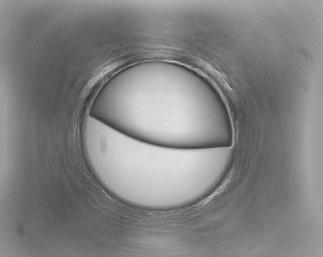 X0000116781453200912171300