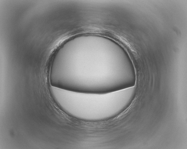 X0000116781455200912171300