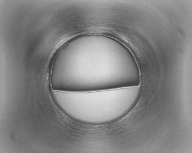 X0000116781459200912171300