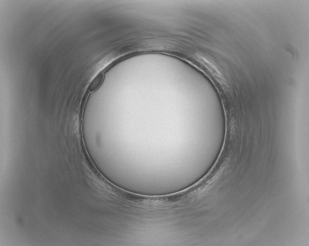 X0000116781465200912171300
