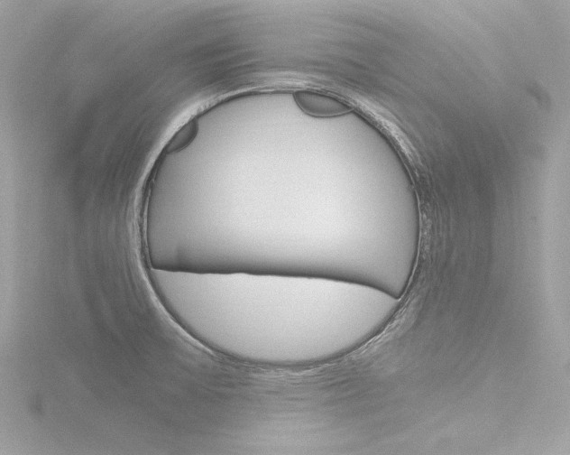 X0000116781475200912171300