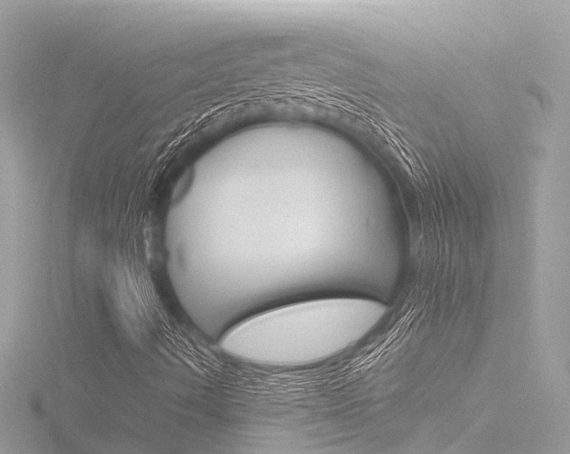 X0000116781490200912171259