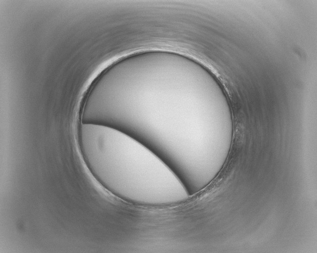 X0000116781523200912171300