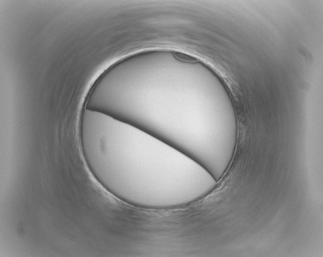 X0000116781527200912171300