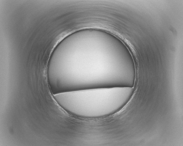 X0000116781529200912171300