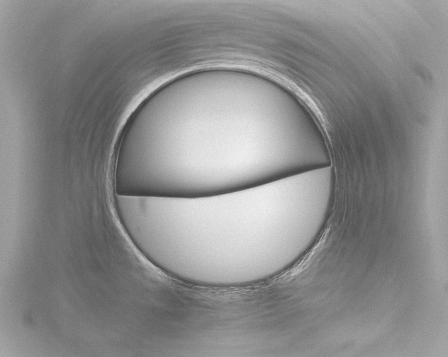X0000116781533200912171300